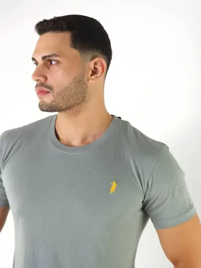 Camiseta Cambridge Polo Club para caballero color gris