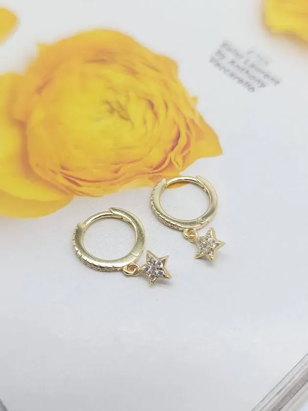 Aretes de Acero inoxidable para Dama