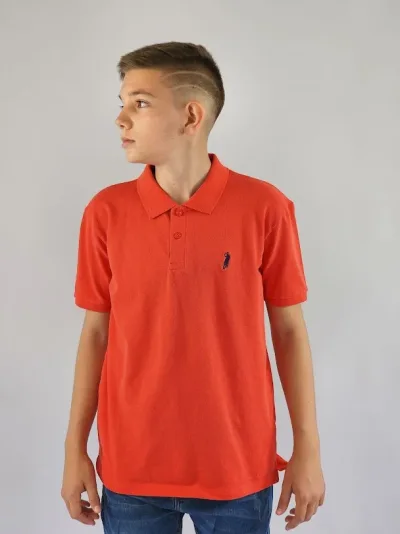 Camiseta cuello tipo polo Cambrige Polo