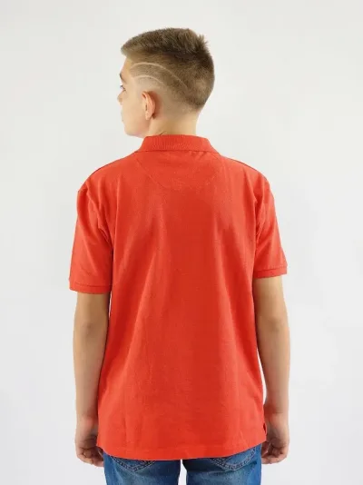 Camiseta cuello tipo polo Cambrige Polo