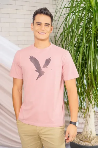 Camiseta American Eagle para caballero color palo rosa