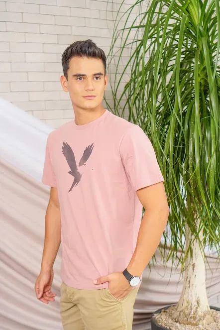 Camiseta American Eagle para caballero color palo rosa