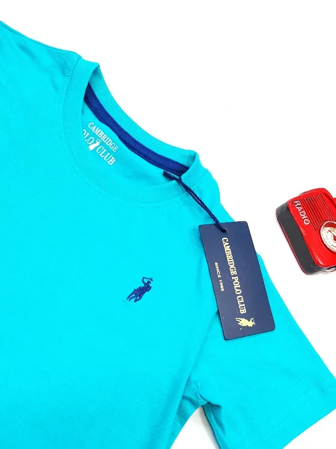 Camiseta Cambrige Polo para niño color turquesa