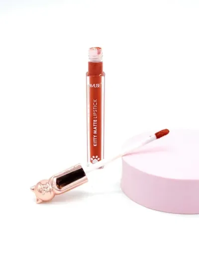 Labial Amuse color marron