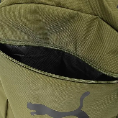 Salveque Puma