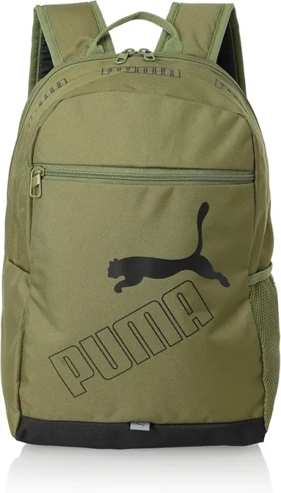 Salveque Puma