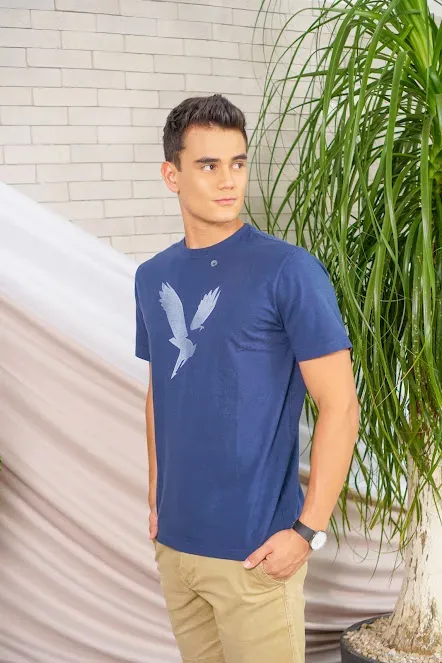 Camiseta American Eagle para caballero color azul