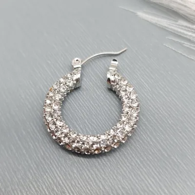 Aretes de Acero inoxidable para Dama