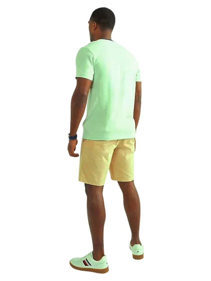 Camiseta Tommy Hilfiger para caballero color verde menta