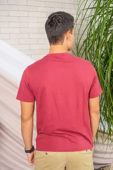 Camiseta American Eagle para caballero color vino