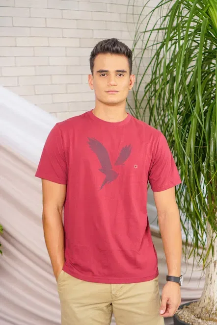 Camiseta American Eagle para caballero color vino