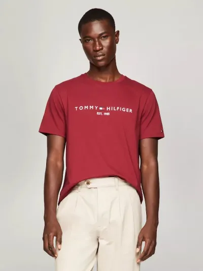 Camiseta Tommy Hilfiger para caballero