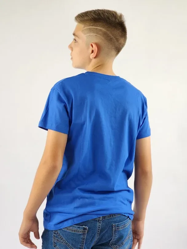 Camiseta Cambrige Polo para niño color azul