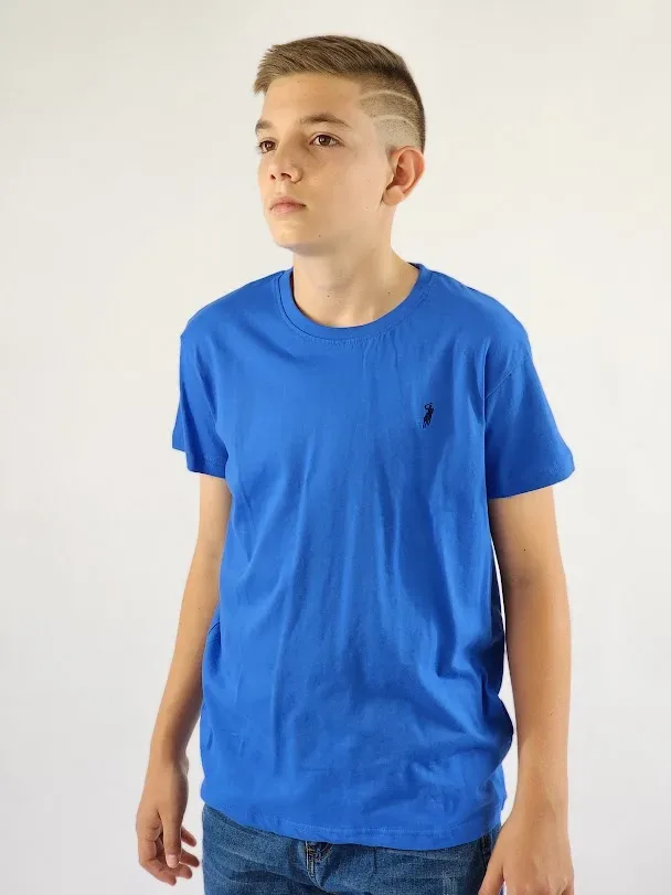 Camiseta Cambrige Polo para niño color azul
