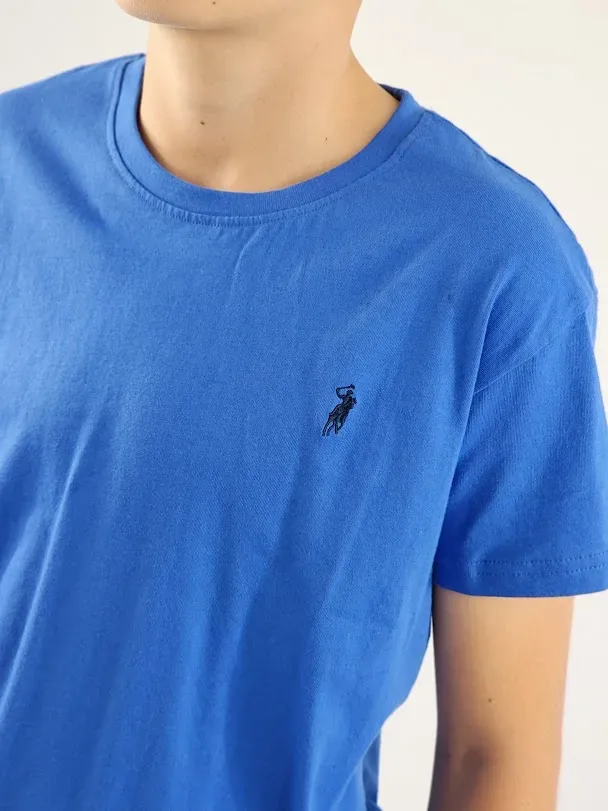 Camiseta Cambrige Polo para niño color azul