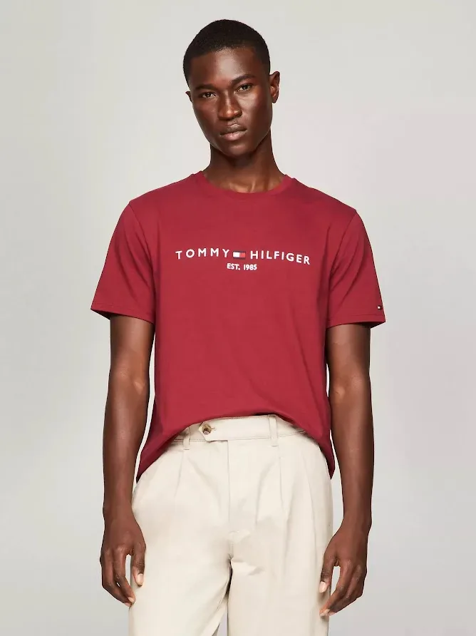 Camiseta Tommy Hilfiger para caballero