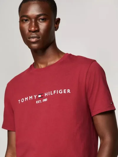 Camiseta Tommy Hilfiger para caballero