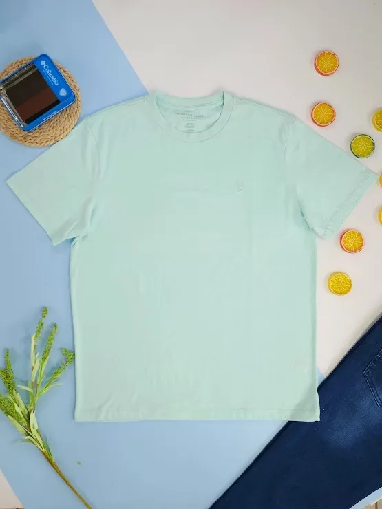 Camiseta American Eagle para caballero color verde agua