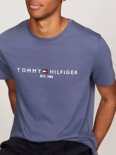 Camiseta Tommy Hilfiger para caballero