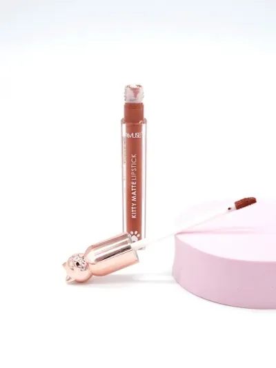 Labial Amuse color cafe