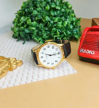 Reloj Q&Q para caballero color negro y dorado