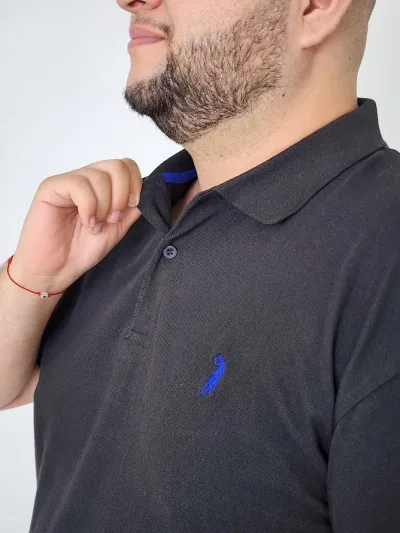 Camiseta Cambrige Polo Club para Caballero