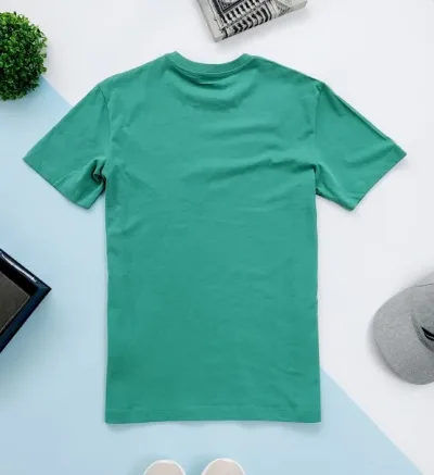 Camiseta American Eagle para caballero color verde
