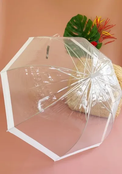 Sombrilla transparente con franja blanca