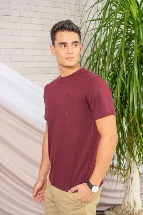 Camiseta American Eagle para caballero color vino