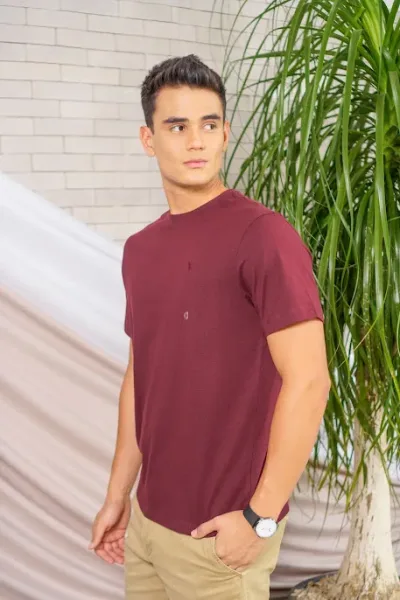 Camiseta American Eagle para caballero color vino