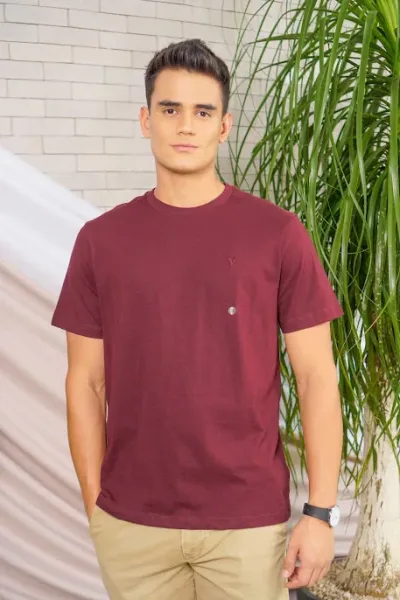 Camiseta American Eagle para caballero color vino