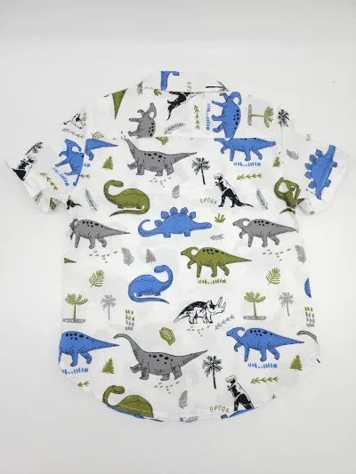 Camisa para Niño Dinosaurios