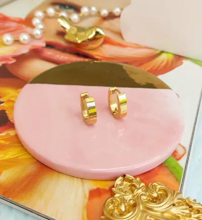 Par de aretes de acero inoxidable para dama