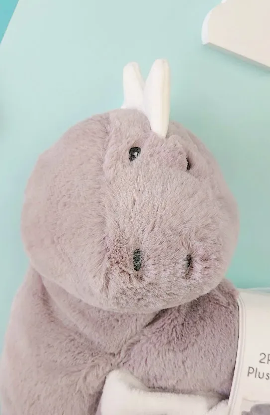 Conjunto de almohada y cobija con diseño de dinosaurio