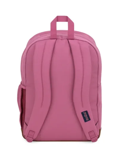 Mochila Jansport Cool Student JS0A2SDDEW6 COLOR VIOLETA