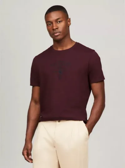 Camiseta Tommy Hilfiger para caballero