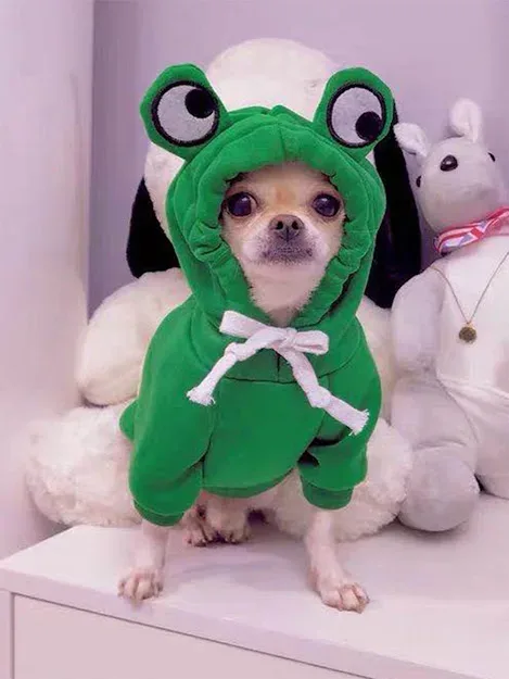 Disfraz para mascotas color verde