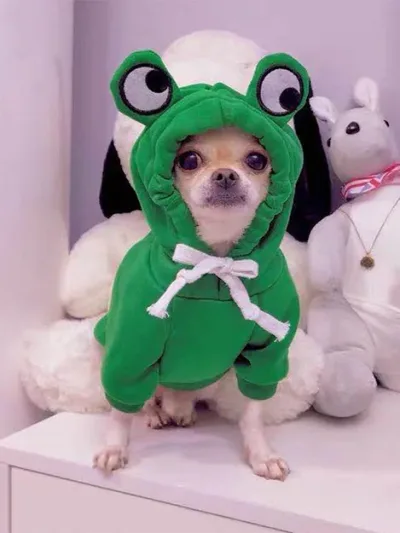 Disfraz para mascotas color verde
