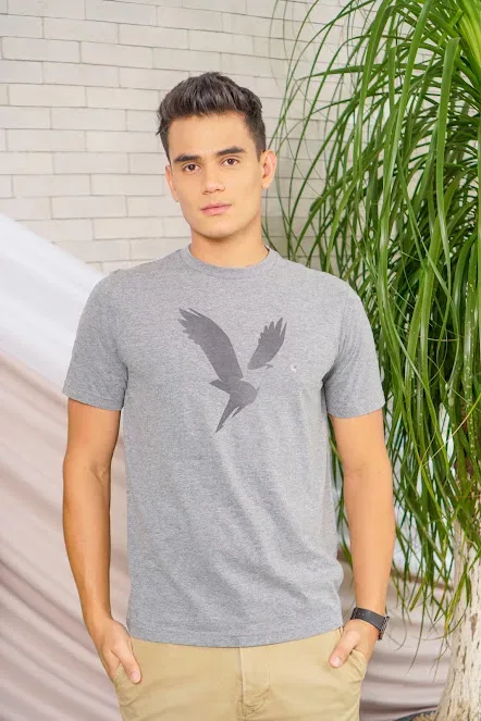 Camiseta American Eagle para caballero color gris