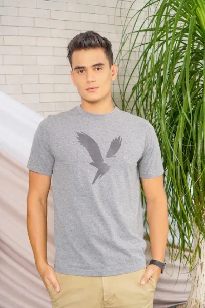 Camiseta American Eagle para caballero color gris