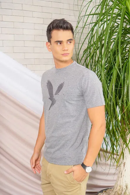 Camiseta American Eagle para caballero color gris