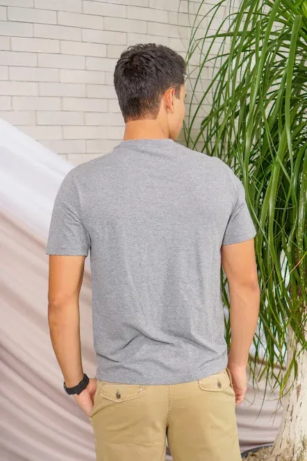 Camiseta American Eagle para caballero color gris
