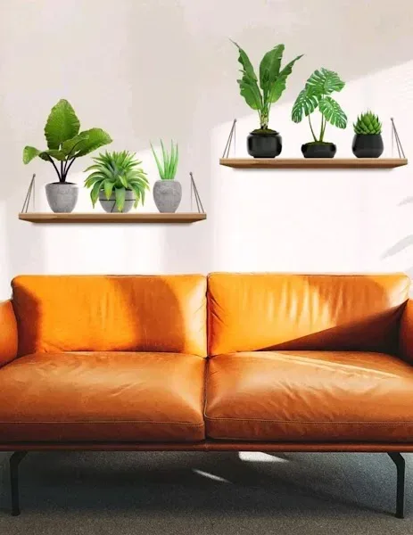 Pegatina de pared planta en maceta