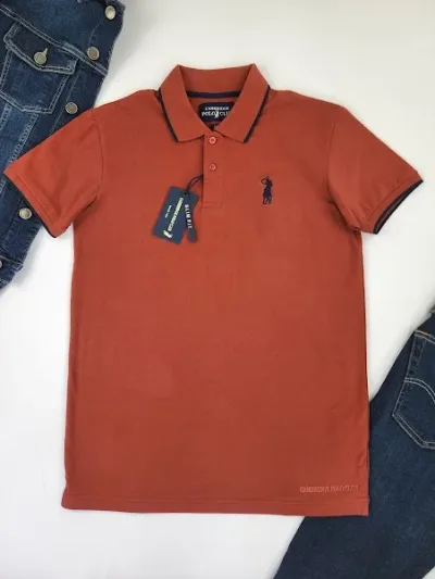 Camiseta Cambrige Polo Club para caballero color terracota.