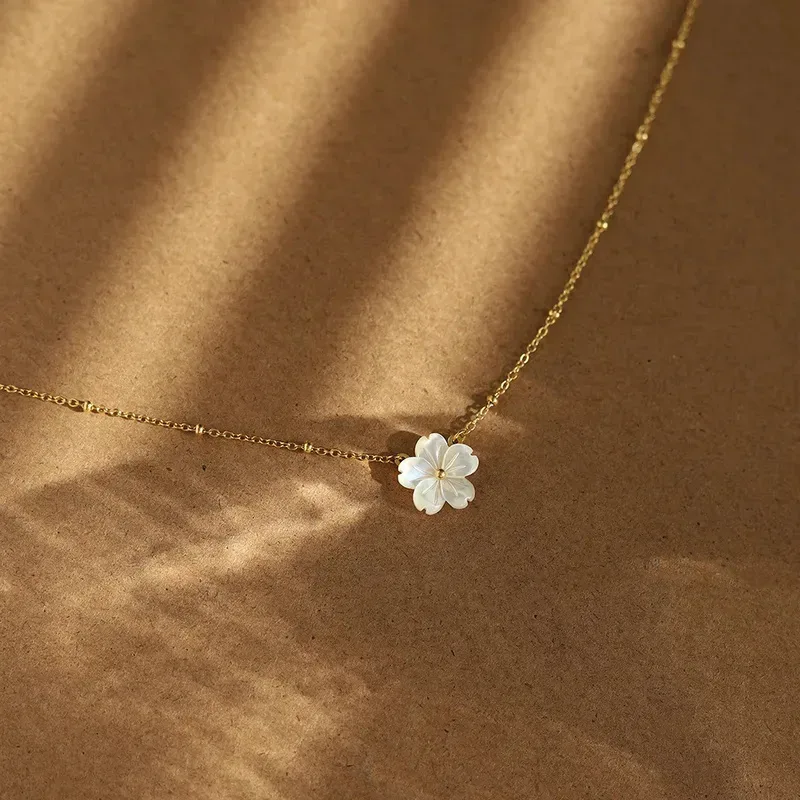 Collar de acero inoxidable