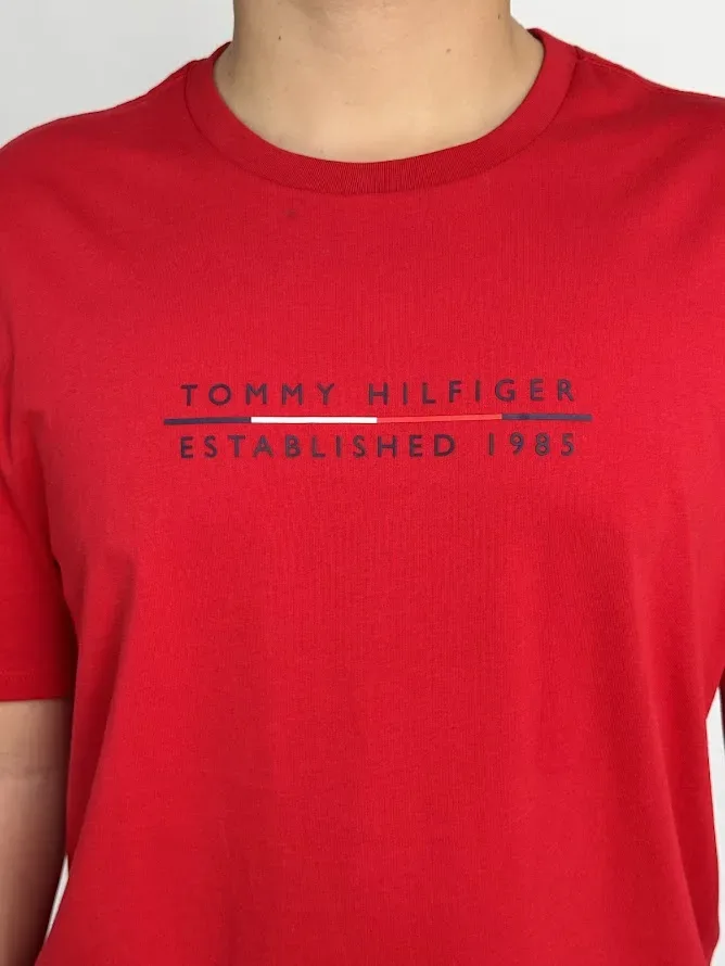 Camiseta Tommy Hilfiger para caballero