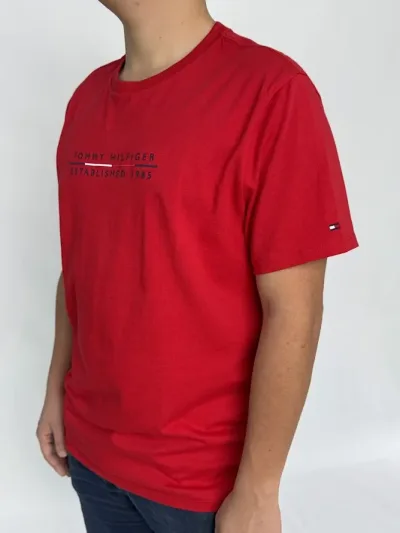 Camiseta Tommy Hilfiger para caballero