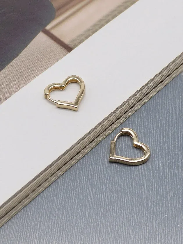 Aretes de Acero inoxidable para Dama