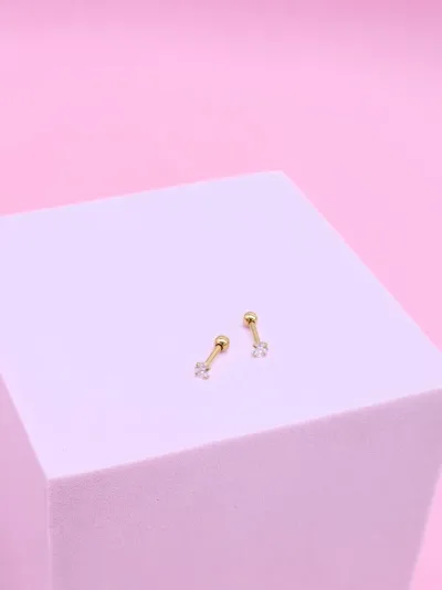 Aretes de Acero inoxidable para Dama