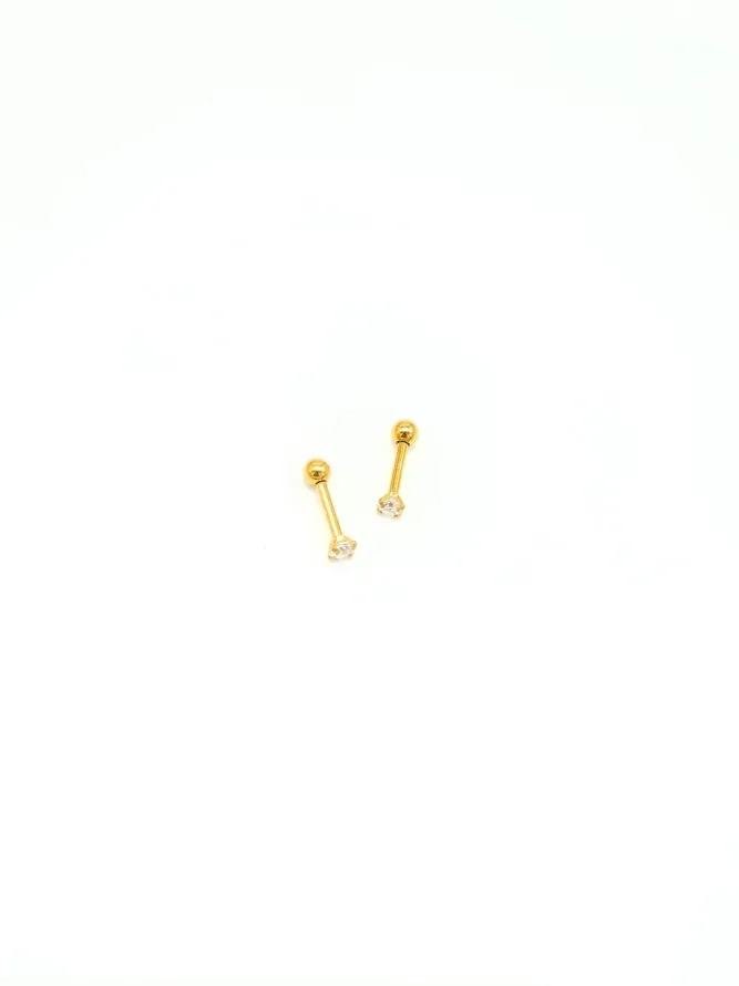 Aretes de Acero inoxidable para Dama